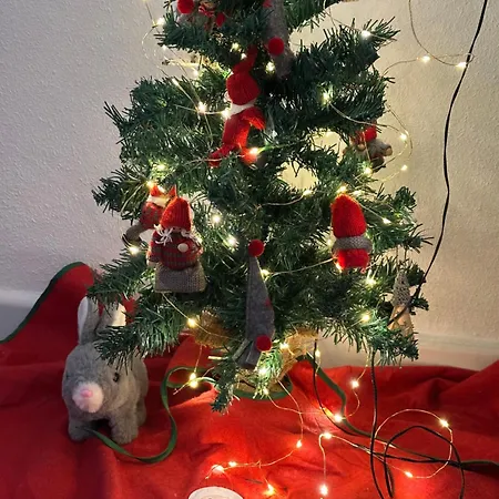 Parque Aromatico Con Dos Piscinas Apartament