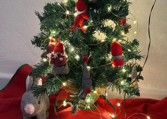 Parque Aromatico Con Dos Piscinas Daire